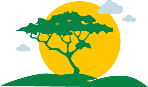 Arbre Madagascar
