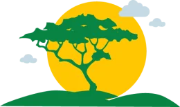 Arbre Madagascar